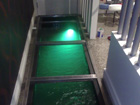Walk over pond in entrance