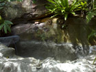Creating a multi level water fall of existing bush rock