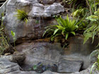 Totally stunning feature that looks natural