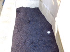 Pond after