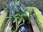 Terrace Style Water Feature