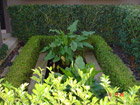 Water Feature