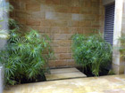 Water feature/waterfall