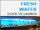 Fresh Water Gallery