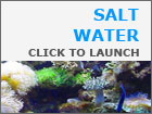 Salt Water Gallery