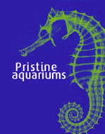 Pristine Aquariums