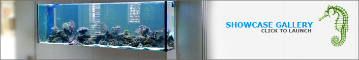 pristine aquariums showcase