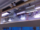 Reef Lighting