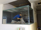 Aquascaping