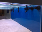 Bulkheads in