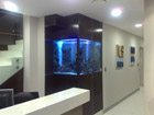 1M Cube in office