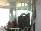 15mm Curved aquarium 900 deep