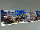 8x3x30 clear glass