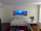 In wall Reef