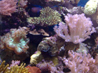 Could it look better?