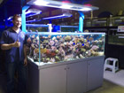 Awesome Reef system and Trent