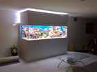 8X3X30 Reef now running 4 months