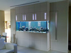 Wall divider aquarium