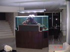 Aquarium and plasma display