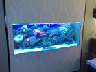Aquarium room divider using cheap materials