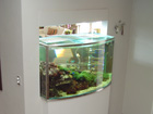 Curved aquarium