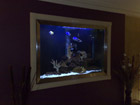 In wall aquarium/ one of my first 2001