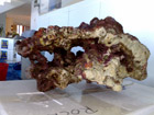 Live rock piece