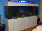 Tangs on the move
