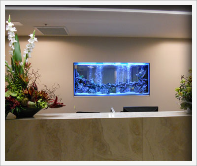 custom fish tanks