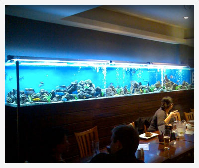prcision aquariums