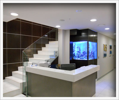 custom fishtank