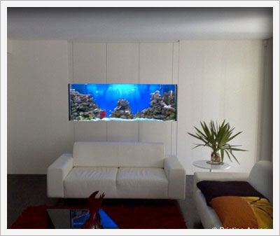 custom aquarium