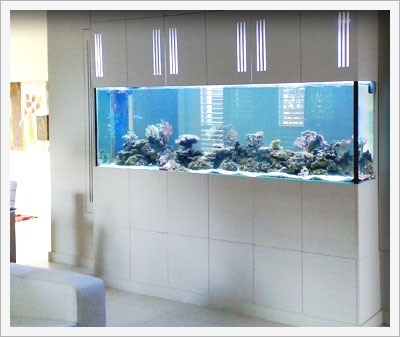 aquariums sydney