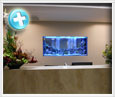 custom fish tanks