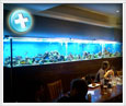 prcision aquariums