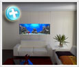 custom aquarium