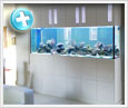 aquariums sydney